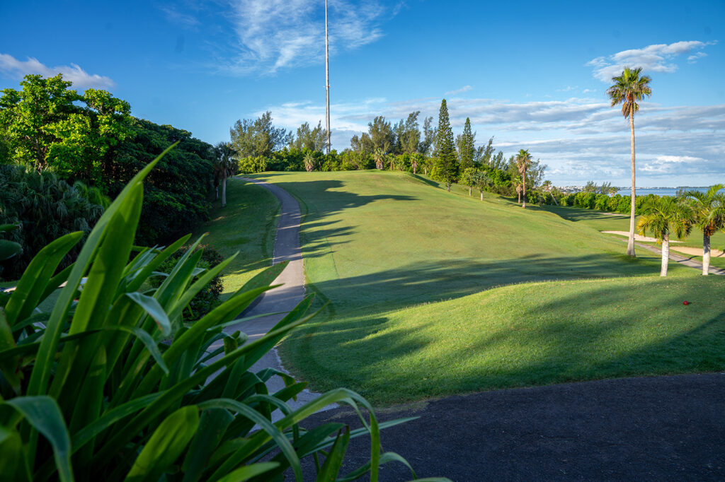 3 OV Fairway